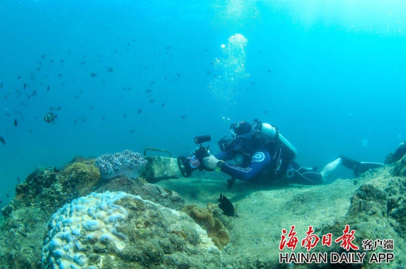 调兵遣将陆军之王