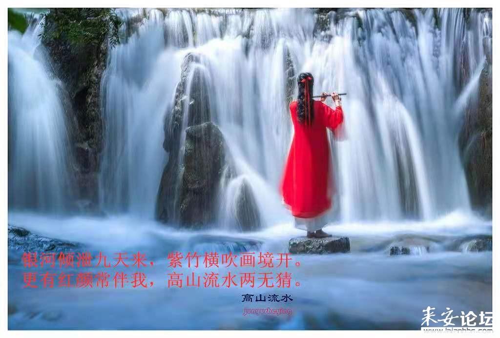 单身狗大作战